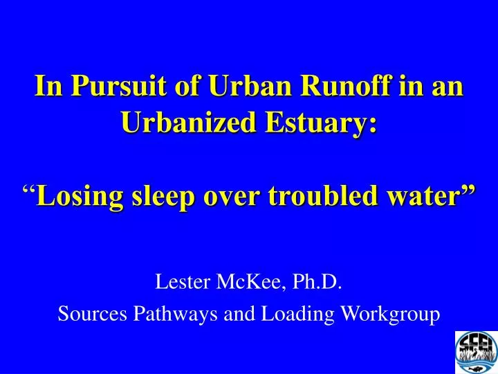 in pursuit of urban runoff in an urbanized estuary losing sleep over troubled water