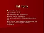 Fat Tony - slide 1