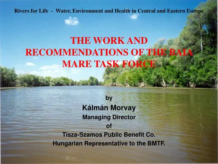 the work and recommendations of the baia mare task force