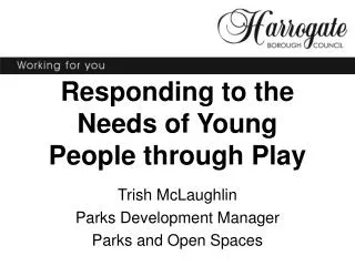 Responding to the Needs of Young People through Play