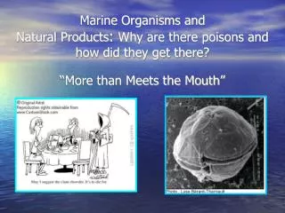 Marine Organisms and Natural Products : Why are there poisons and how did they get there?