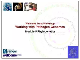 Wellcome Trust Workshop Working with Pathogen Genomes Module 5 Phylogenetics