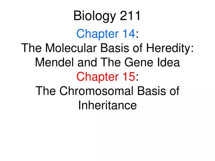 biology 211