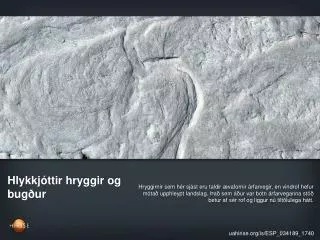 hlykkj ttir hryggir og bug ur