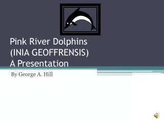 Pink River Dolphins (INIA GEOFFRENSIS) A Presentation