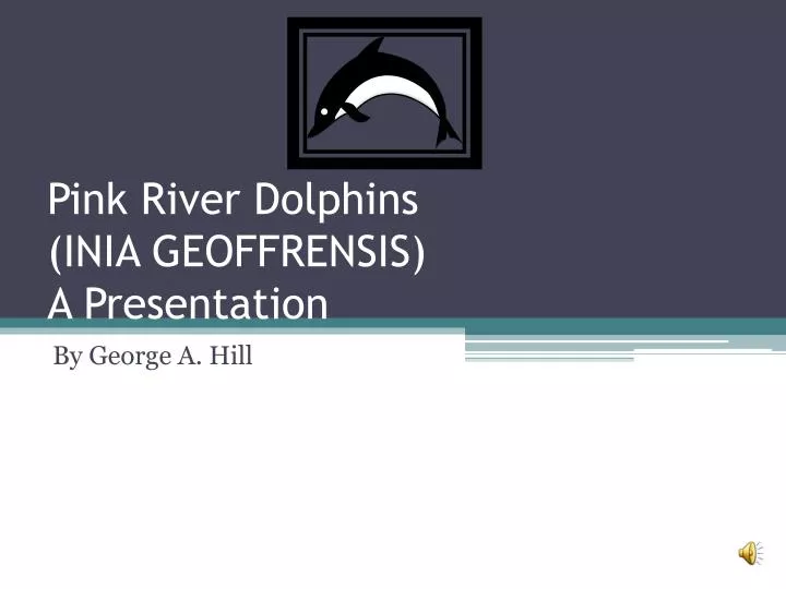 pink river dolphins inia geoffrensis a presentation