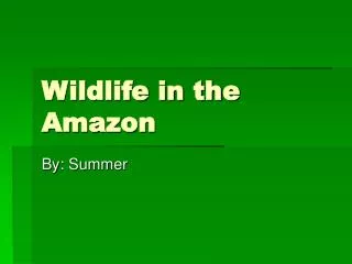 Wildlife in the Amazon