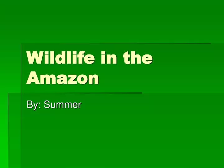 wildlife in the amazon
