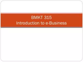 BMKT 315 Introduction to e-Business