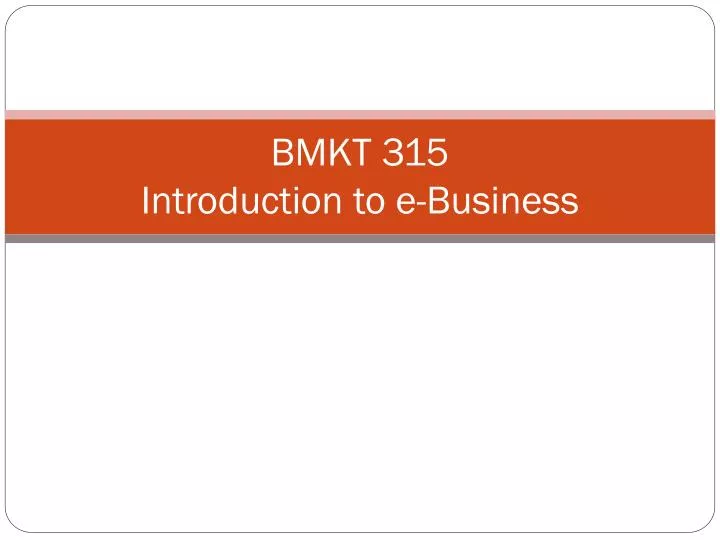 bmkt 315 introduction to e business