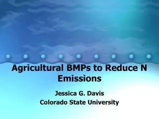 Agricultural BMPs to Reduce N Emissions