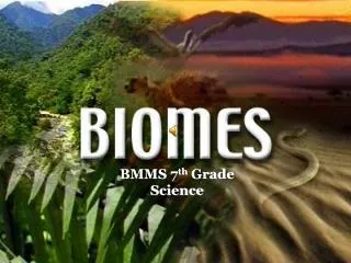 BMMS 7 th Grade Science