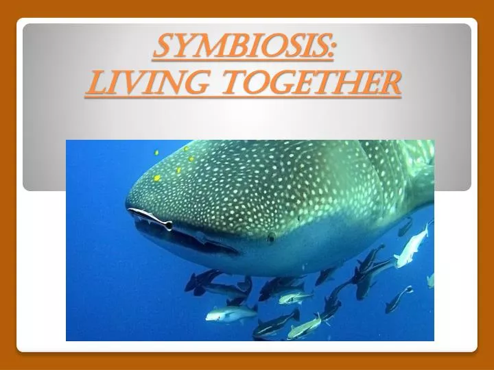 symbiosis living together