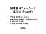 国連森林フォーラムと 生物多様性条約 - slide 1