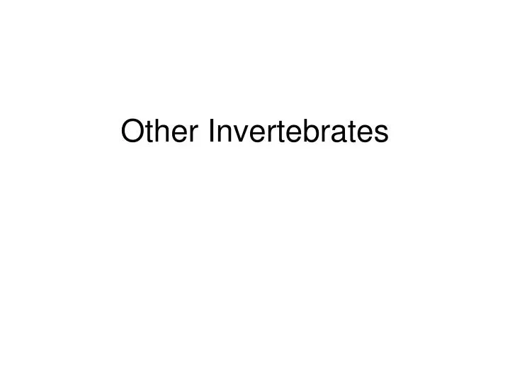 other invertebrates
