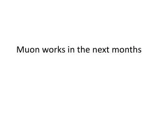 Muon works in the next months