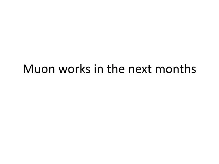 muon works in the next months