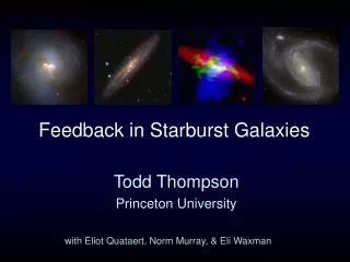 Feedback in Starburst Galaxies