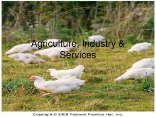 Agriculture, Industry &amp; Services