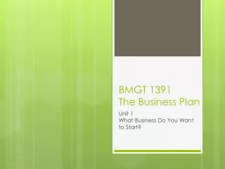 BMGT 1391 The Business Plan
