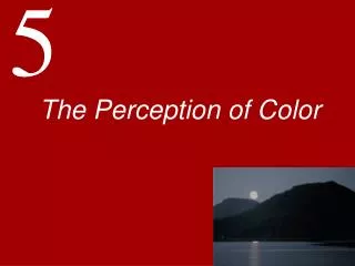 The Perception of Color