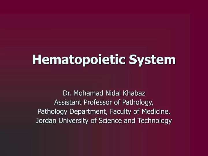 hematopoietic system