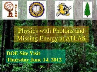 Physics with Photons and Missing Energy at ATLAS