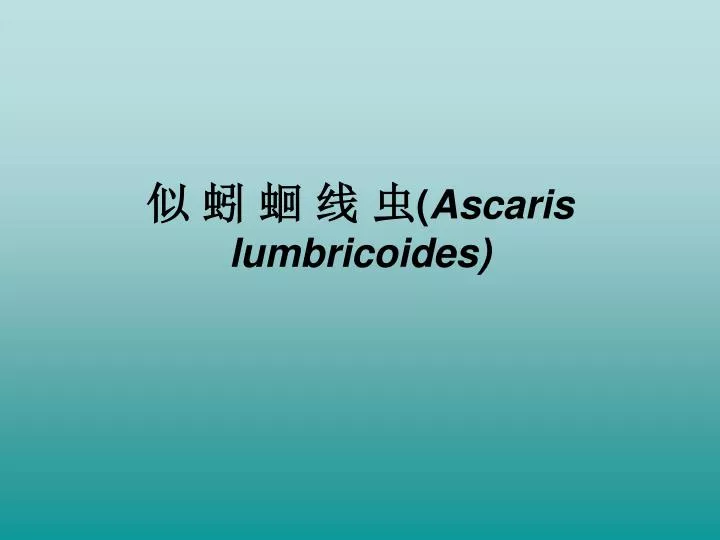 ascaris lumbricoides