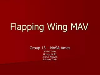 Flapping Wing MAV