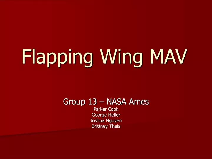 flapping wing mav