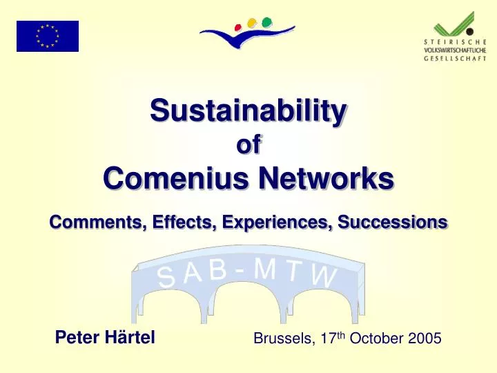 sustainability of comenius networks comments effects experiences successions