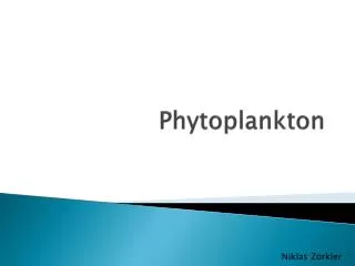 phytoplankton