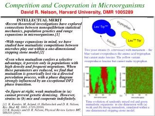 Competition and Cooperation in Microorganisms