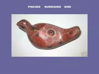 PINCHED BURNISHED BIRD