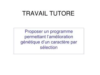 travail tutore