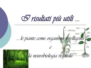 i risultati pi utili