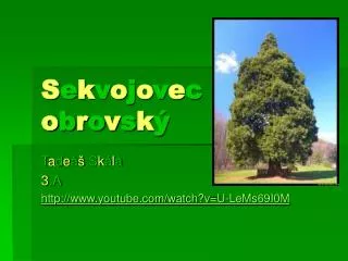 s e k v o j o v e c o b r o v s k