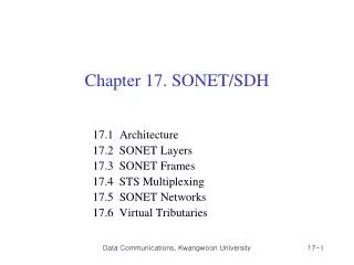 Chapter 17. SONET/SDH