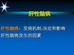 肝性脑病 肝性脑病 ：发病机制;决定和影响 肝性脑病发生的因素 - slide 1