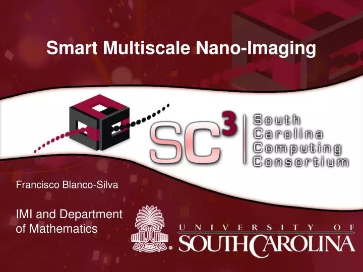 smart multiscale nano imaging