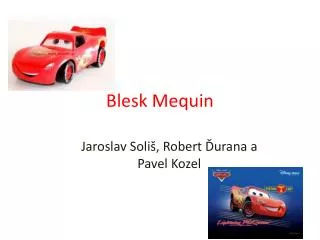 blesk mequin
