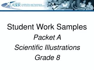 Student Work Samples Packet A Scientific Illustrations Grade 8