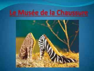 le mus e de la chaussure