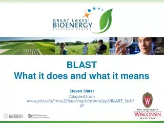 BLAST What it does and what it means
