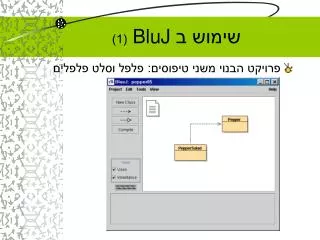 bluj 1