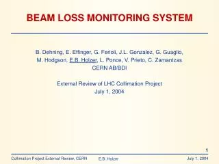 BEAM LOSS MONITORING SYSTEM