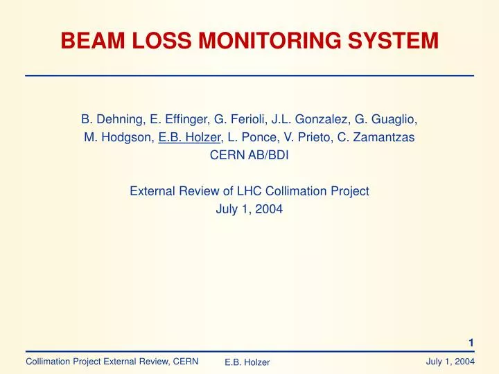 beam loss monitoring system