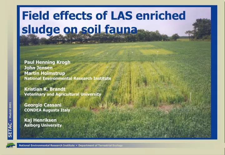 field effects of las enriched sludge on soil fauna