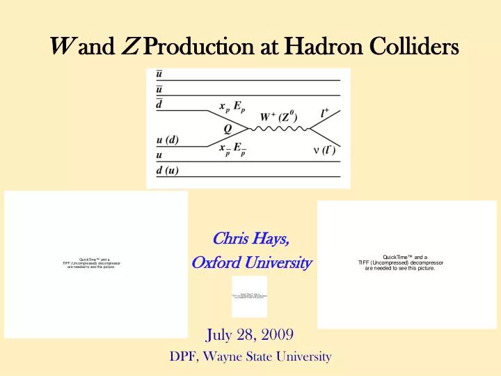 w and z production at hadron colliders