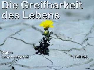 die greifbarkeit des lebens